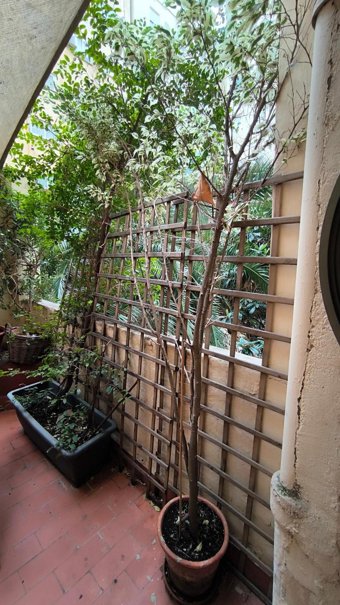 Bed and breakfast 7 Moons Valencia
